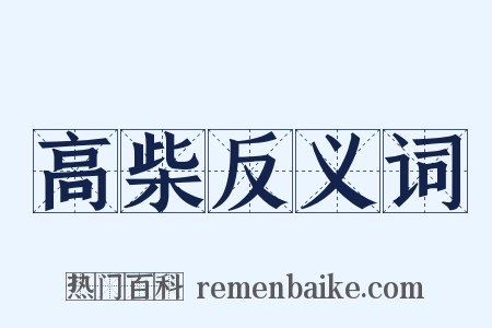 高柴反义词是什么意思的图片